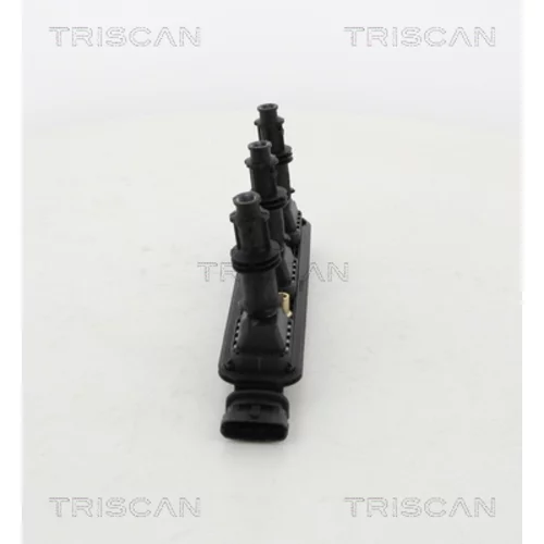 Zapaľovacia cievka 8860 24036 /TRISCAN/ - obr. 1