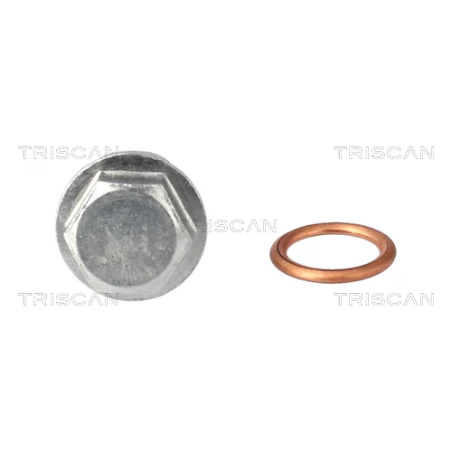 Skrutka olejovej vane 9500 1025 /TRISCAN/ - obr. 2