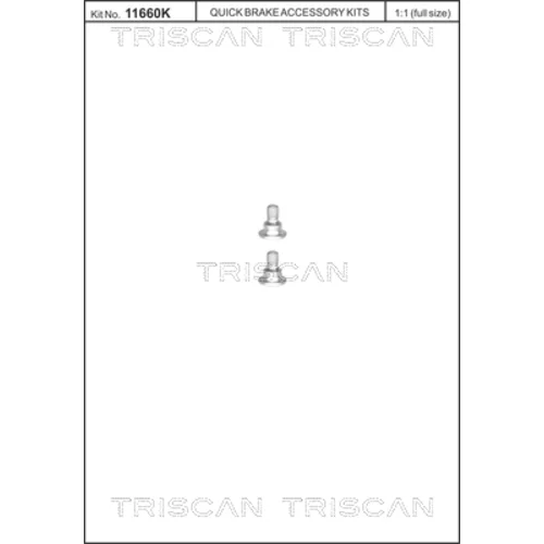 sada skrutiek, brzdový kotúč TRISCAN 8105 116001