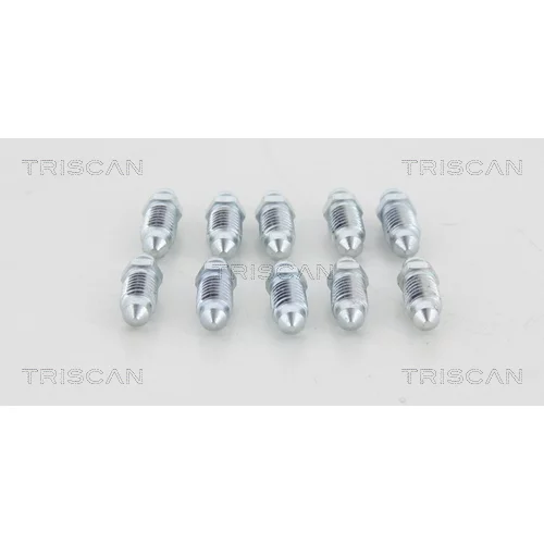 Odvzdušňovacia skrutka/ventil 8105 3655 /TRISCAN/