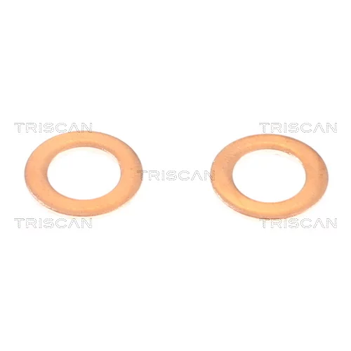 Brzdová hadica 8150 431020 /TRISCAN/ - obr. 4