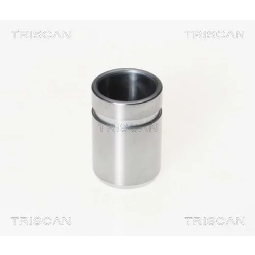 Piest brzdového strmeňa 8170 233208 /TRISCAN/