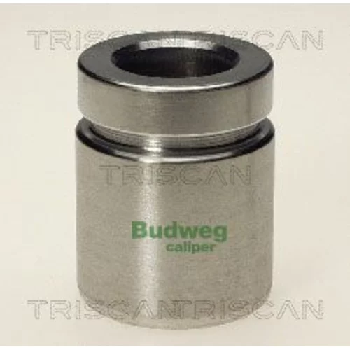 Piest brzdového strmeňa 8170 233818 /TRISCAN/