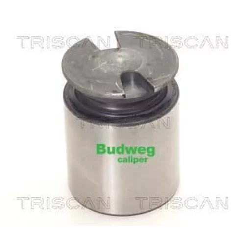 Piest brzdového strmeňa 8170 233850 /TRISCAN/