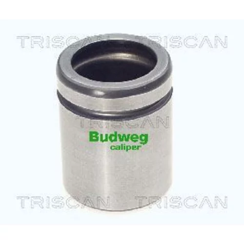 Piest brzdového strmeňa 8170 234416 /TRISCAN/
