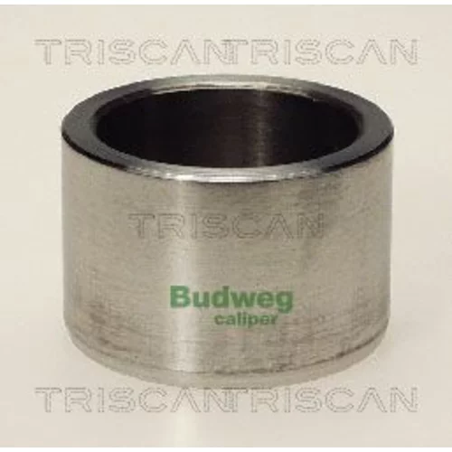 Piest brzdového strmeňa 8170 234602 /TRISCAN/