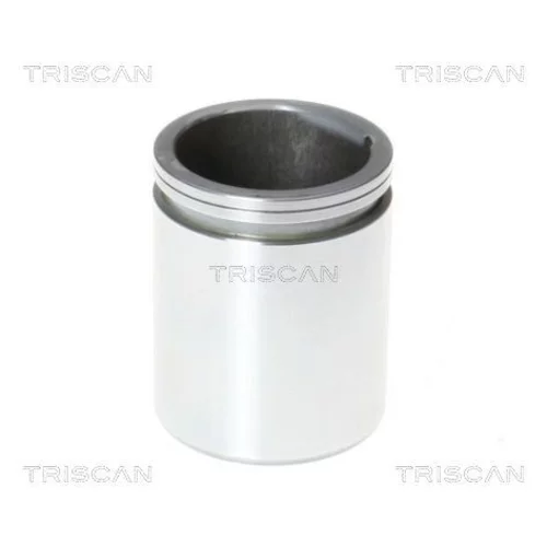 Piest brzdového strmeňa 8170 234866 /TRISCAN/