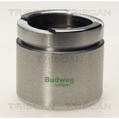 Piest brzdového strmeňa 8170 235203 /TRISCAN/