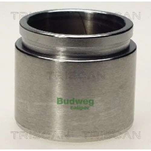 Piest brzdového strmeňa 8170 235456 /TRISCAN/