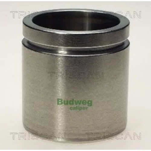 Piest brzdového strmeňa 8170 235464 /TRISCAN/