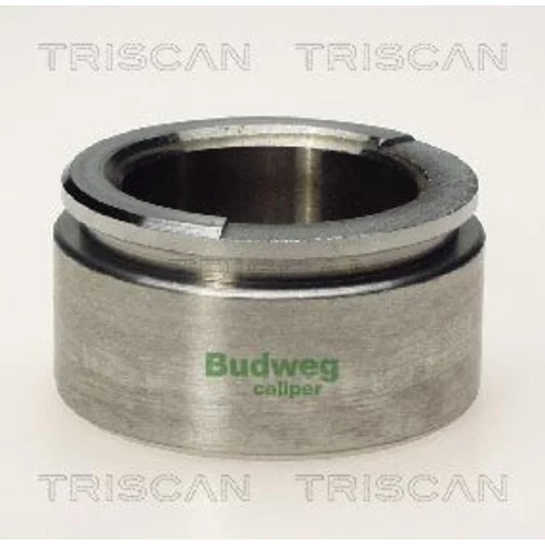 Piest brzdového strmeňa 8170 235709 /TRISCAN/
