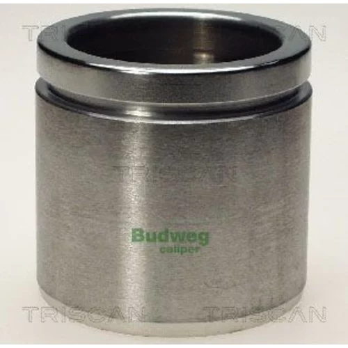 Piest brzdového strmeňa 8170 236033 /TRISCAN/
