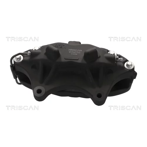 Brzdový strmeň 8175 81103 /TRISCAN/ - obr. 4