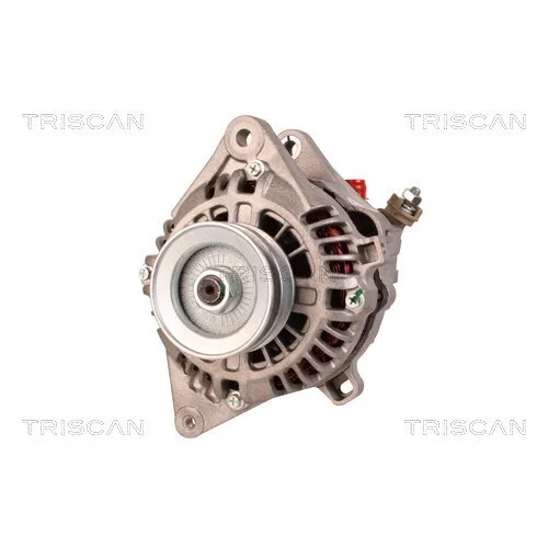 Alternátor 8310 10009 /TRISCAN/ - obr. 5