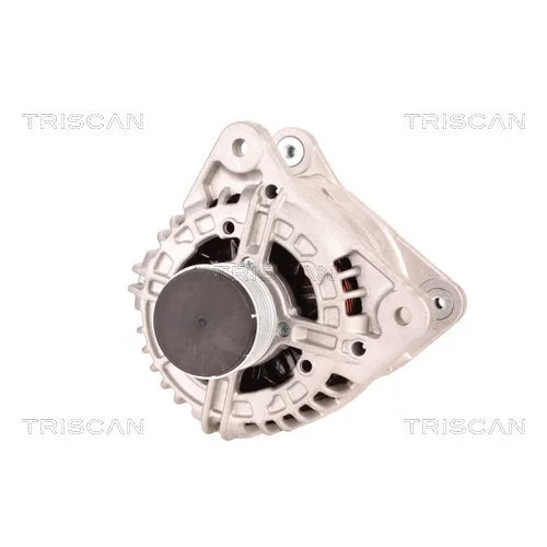 Alternátor 8310 10039 /TRISCAN/ - obr. 5