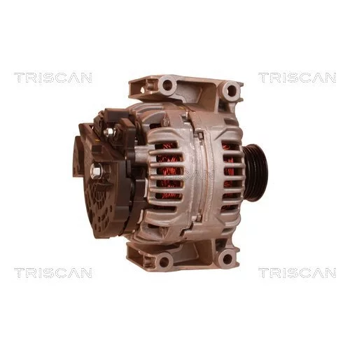 Alternátor 8310 10065 /TRISCAN/ - obr. 2