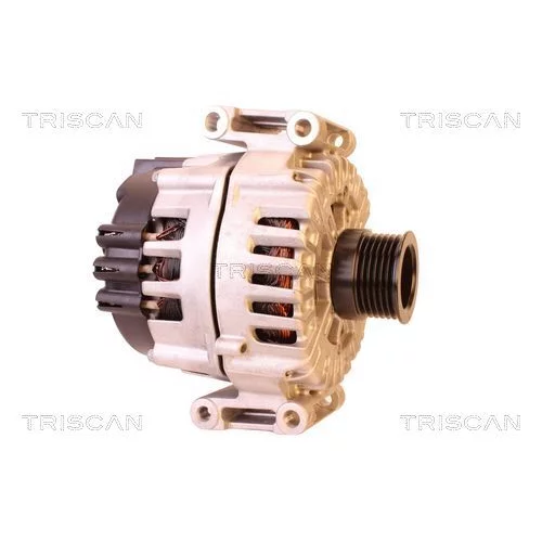 Alternátor 8310 10068 /TRISCAN/ - obr. 3