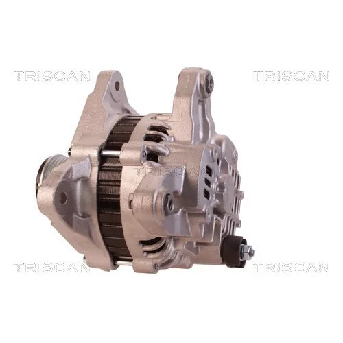 Alternátor 8310 10122 /TRISCAN/ - obr. 7