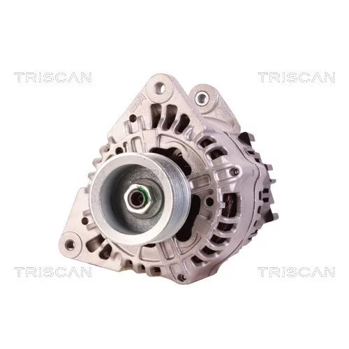Alternátor 8310 10145 /TRISCAN/ - obr. 5