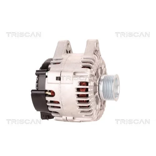 Alternátor 8310 10156 /TRISCAN/ - obr. 3