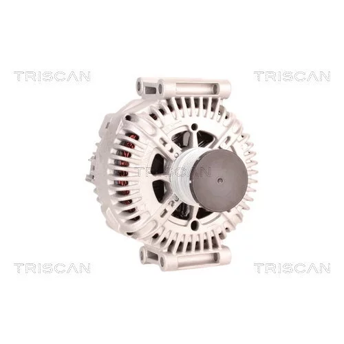 Alternátor 8310 10161 /TRISCAN/ - obr. 4