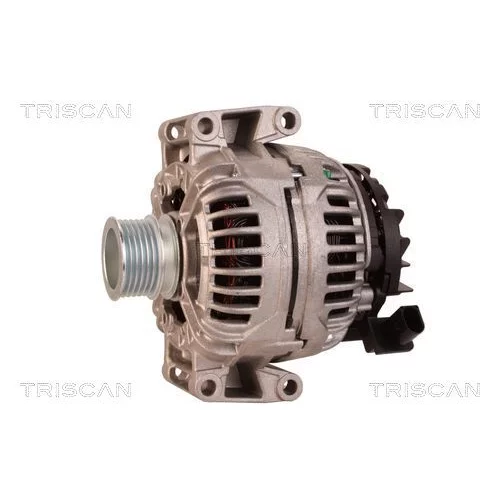 Alternátor 8310 13044 /TRISCAN/ - obr. 6