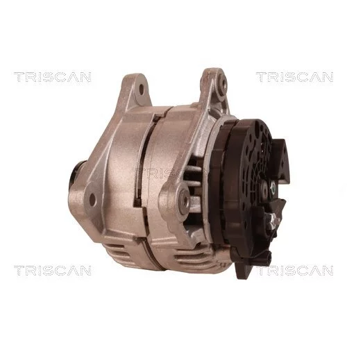 Alternátor 8310 13048 /TRISCAN/ - obr. 7
