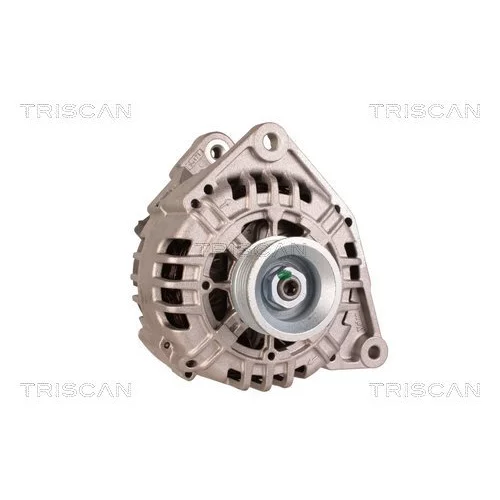 Alternátor 8310 13054 /TRISCAN/ - obr. 4