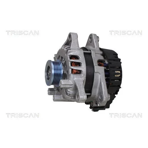 Alternátor 8310 13063 /TRISCAN/ - obr. 1