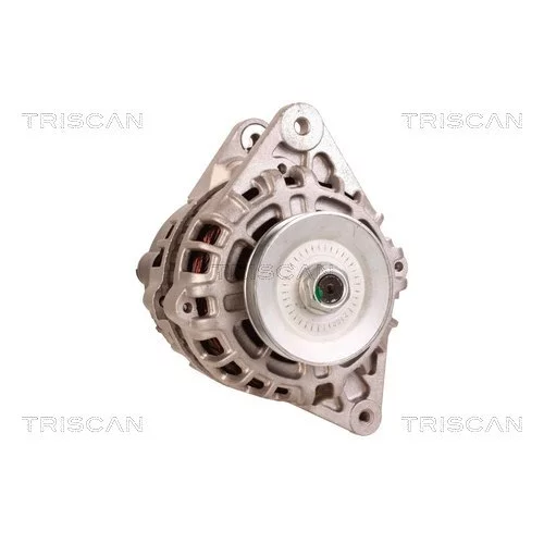 Alternátor 8310 14003 /TRISCAN/ - obr. 4
