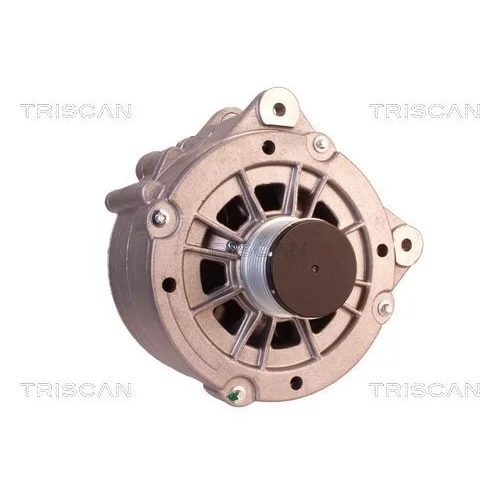 Alternátor 8310 15007 /TRISCAN/ - obr. 4