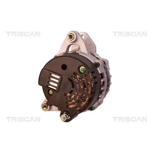 Alternátor 8310 16002 /TRISCAN/ - obr. 1