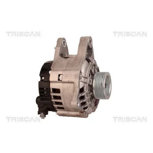Alternátor 8310 16015 /TRISCAN/ - obr. 3