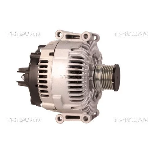 Alternátor 8310 16019 /TRISCAN/ - obr. 3