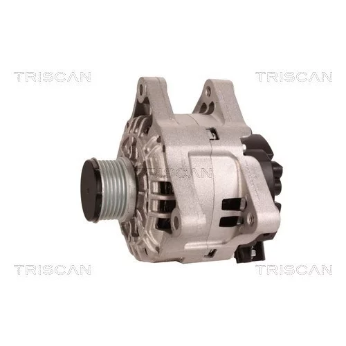 Alternátor 8310 16029 /TRISCAN/ - obr. 6