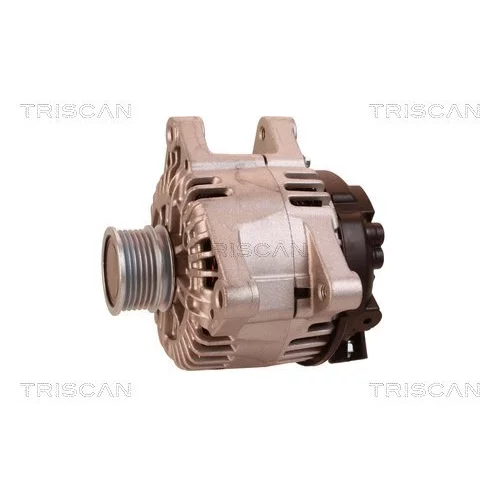 Alternátor 8310 16031 /TRISCAN/ - obr. 6