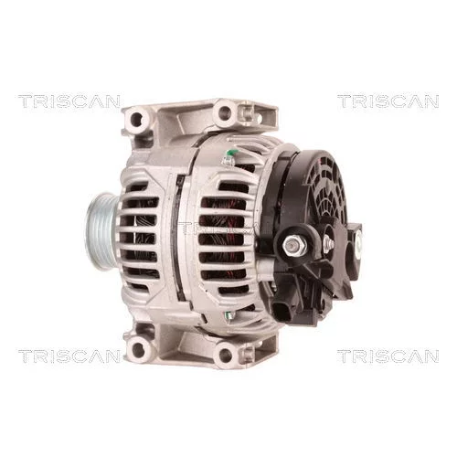 Alternátor 8310 20001 /TRISCAN/ - obr. 7