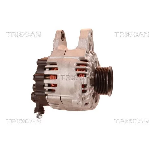 Alternátor 8310 23040 /TRISCAN/ - obr. 3