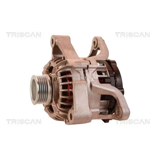 Alternátor 8310 23057 /TRISCAN/ - obr. 6