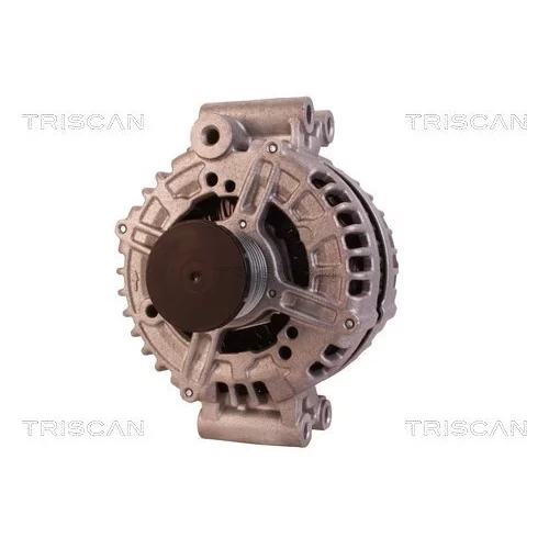 Alternátor 8310 24021 /TRISCAN/ - obr. 5