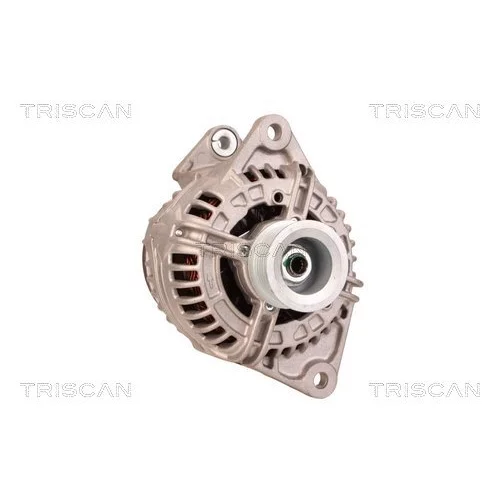 Alternátor 8310 24022 /TRISCAN/ - obr. 4