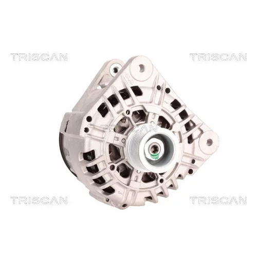 Alternátor 8310 24023 /TRISCAN/ - obr. 4