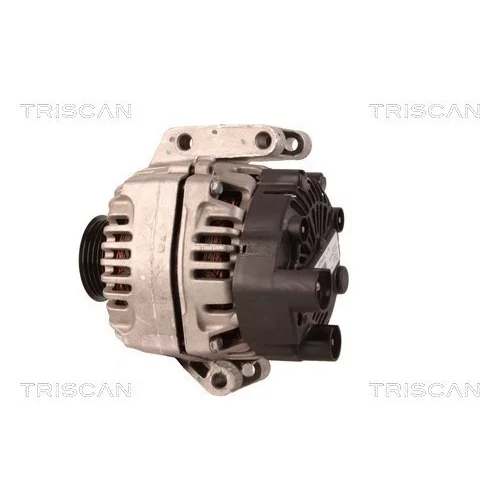 Alternátor 8310 25018 /TRISCAN/ - obr. 7