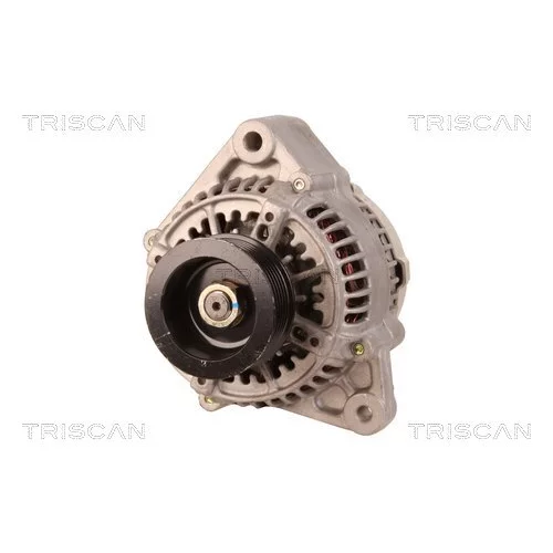 Alternátor 8310 25025 /TRISCAN/ - obr. 5