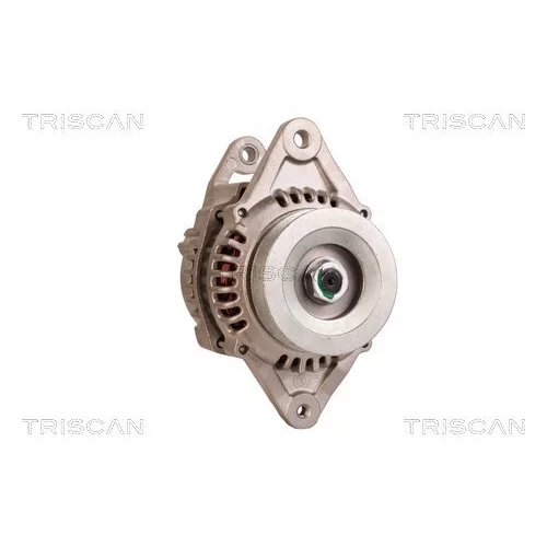 Alternátor 8310 25031 /TRISCAN/ - obr. 4