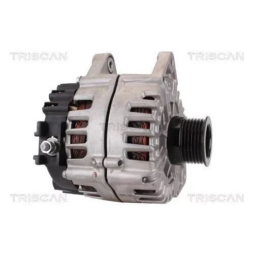 Alternátor 8310 29023 /TRISCAN/ - obr. 3