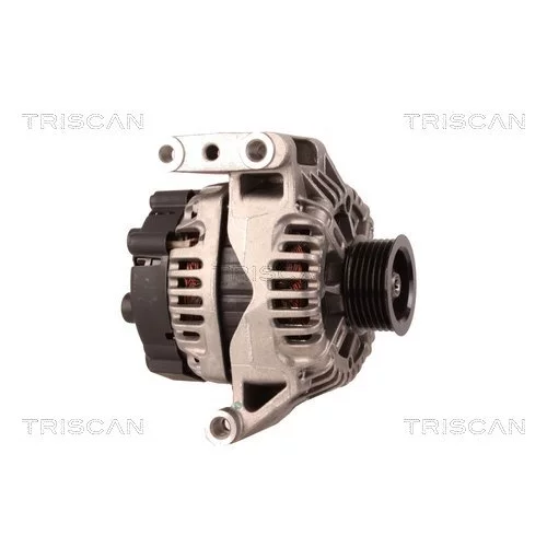 Alternátor 8310 29036 /TRISCAN/ - obr. 3
