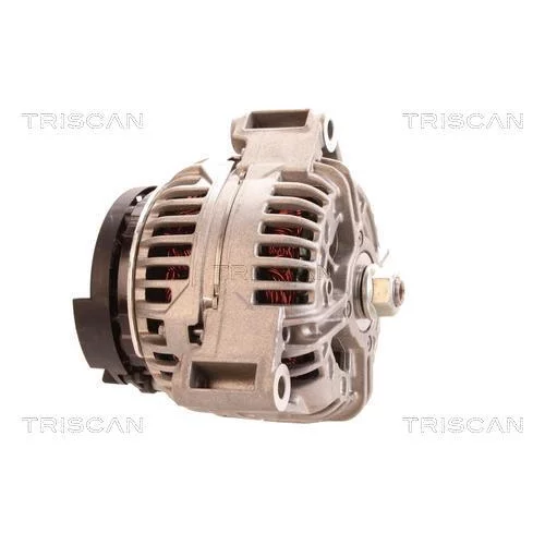 Alternátor 8310 43009 /TRISCAN/ - obr. 3