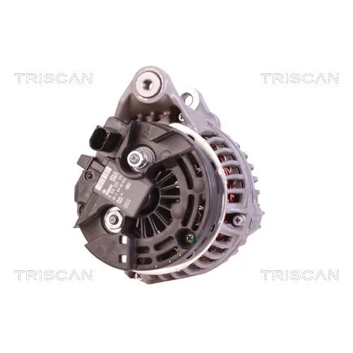 Alternátor 8310 68006 /TRISCAN/ - obr. 1