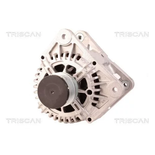 Alternátor 8310 68006 /TRISCAN/ - obr. 5